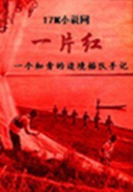 邊境插隊手記