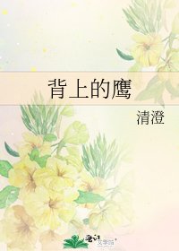 背上的鷹